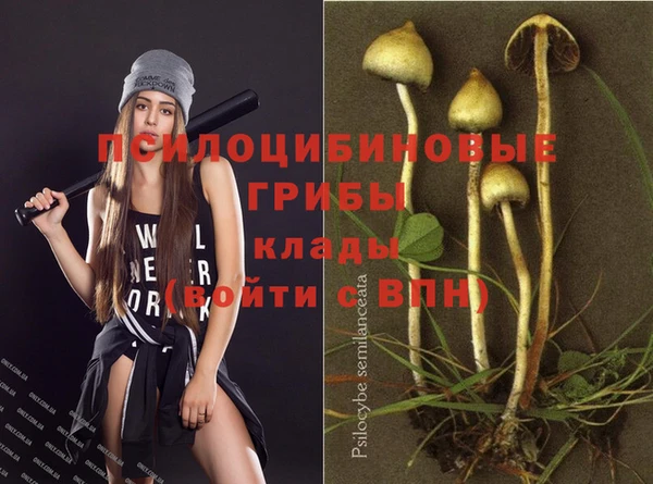 первитин Арсеньев