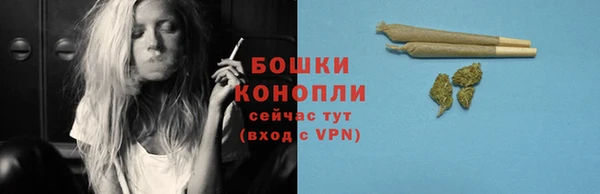 СК Аркадак