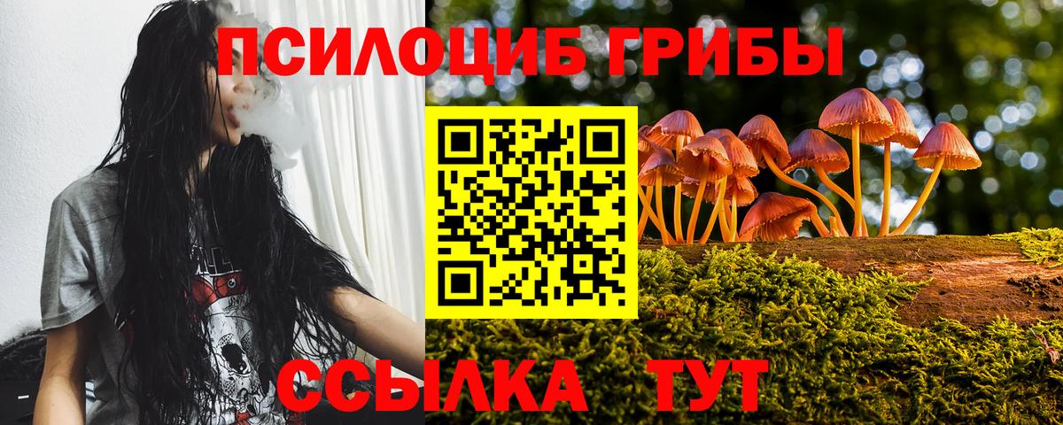 Черняховск  Галлюциногенные грибы Psilocybine cubensis  Псилоцибиновые грибы Cubensis  Вход с VPN 