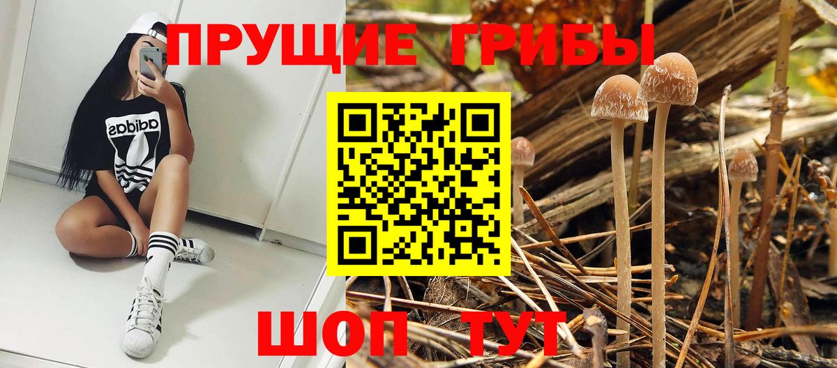 Псилоцибиновые грибы ЛСД Черняховск